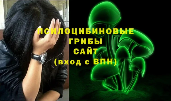 стафф Верхний Тагил